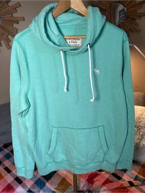 Abercrombie & Fitch Mint Green Pullover Hoodie Vintage Moose Logo
